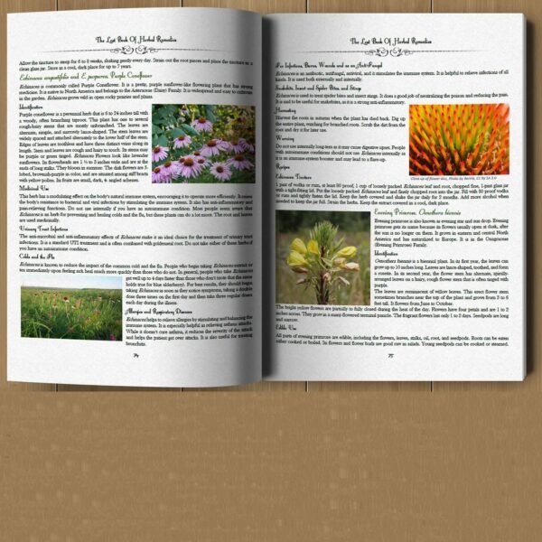 The Lost Book Of Herbal Remedies The Healing Power Of Plant Medicine Paperback Book - Image 2